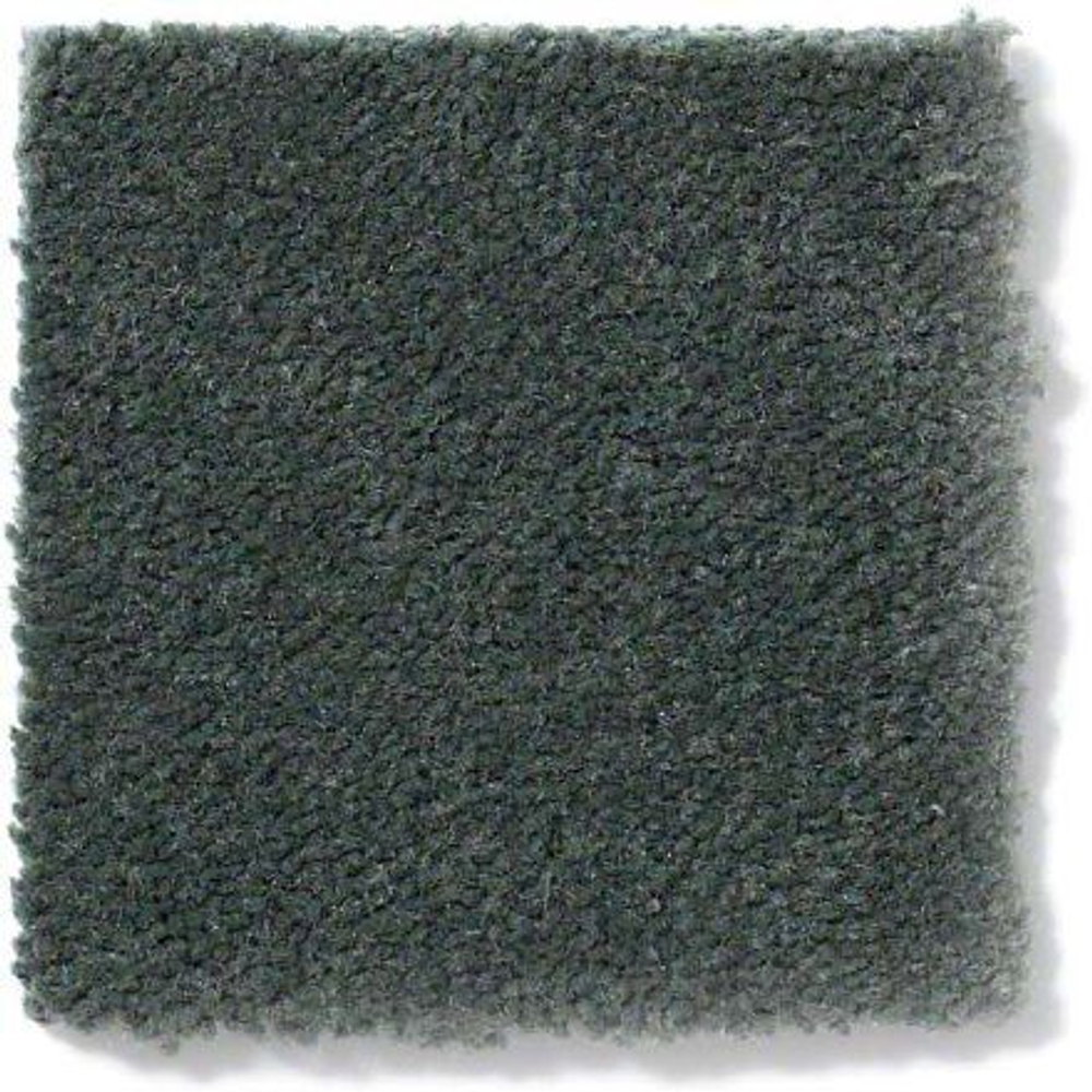 Ковровое покрытие Shaw Floors Emphatic II 30 56340 HEDGE