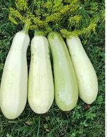 Кабачки