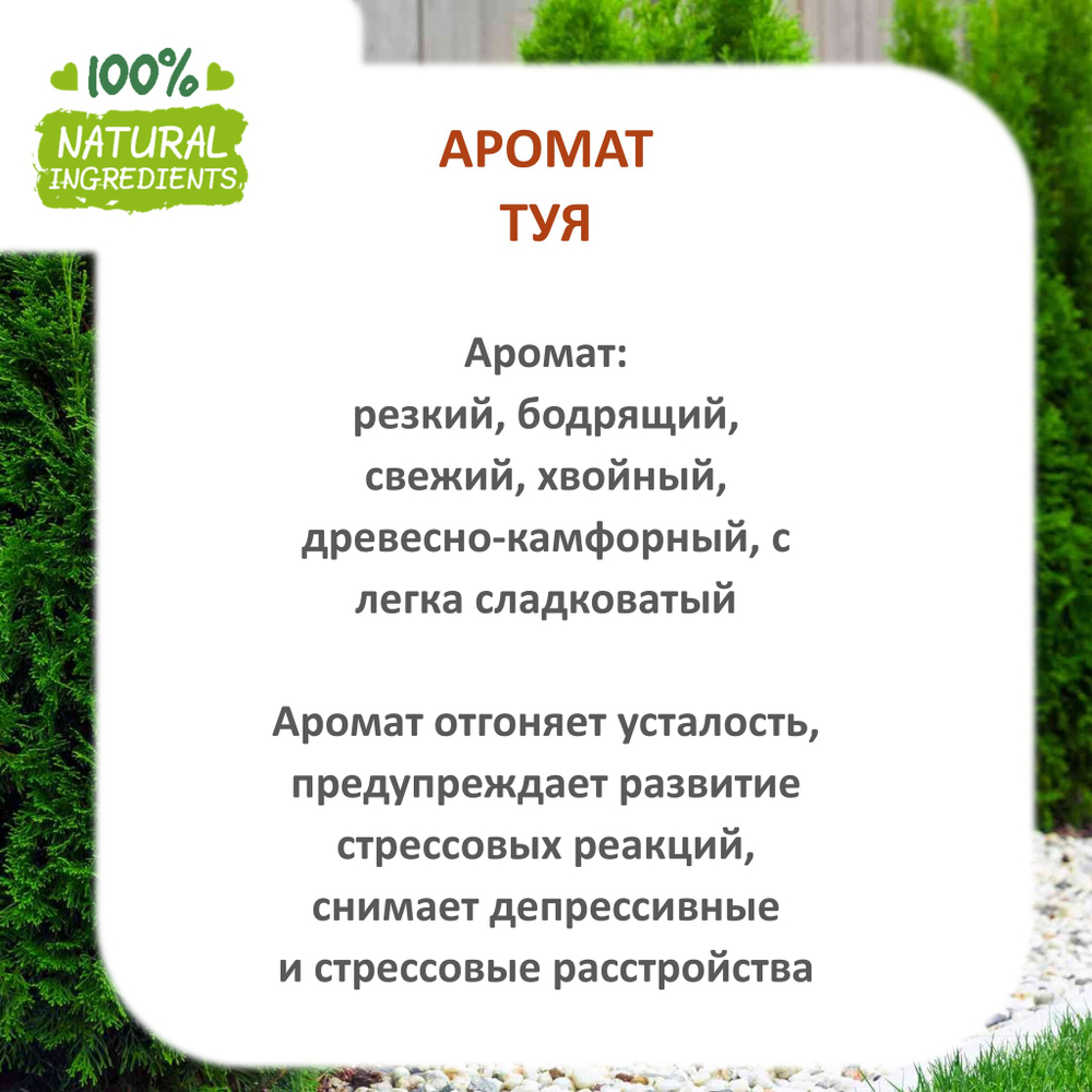 Туя, отдушка для свечей и мыла
