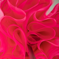 пошив рейтинговых платьев