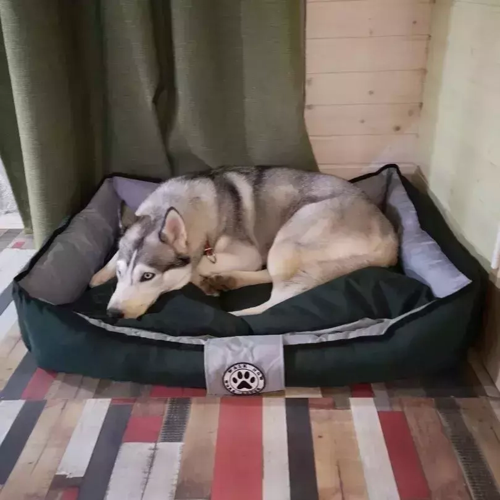 Лежак для средней собаки размер L антивандальный разборный серо-зеленый Lapalandia