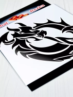 Инь Янь - Дракон