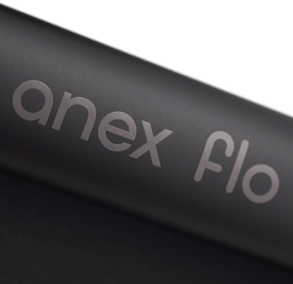 Детская коляска Anex Flo 2 в 1 Lungo