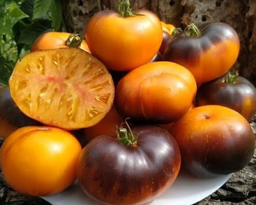 Люсид Джем LUCID GEM