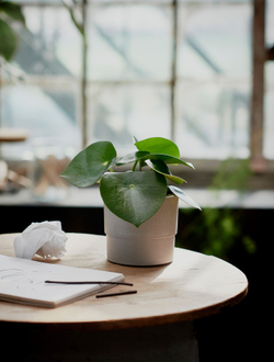 IKEA NYPON  (ИКЕА НЙПОН)  -  Крышка для цветочного горшка, серая, 12 см