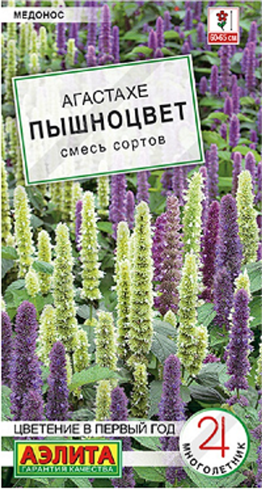 Агастахе Пышноцвет, смесь сортов