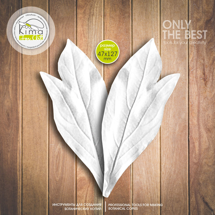 Пион лист широкий