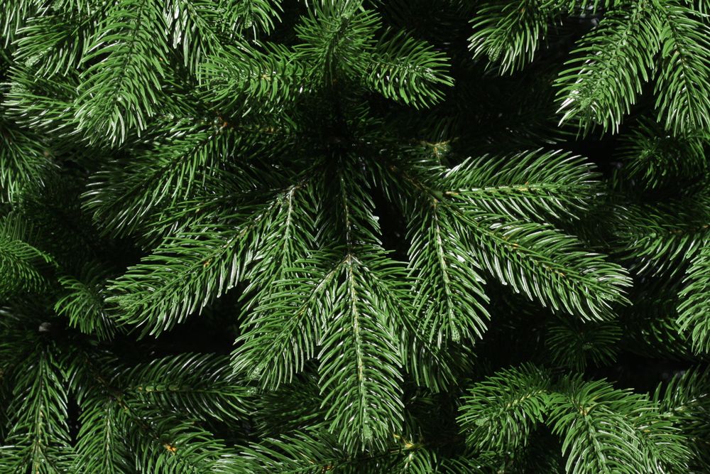 Ель искусственная «Королева леса» (Литая хвоя) 215 см / 2,15 м