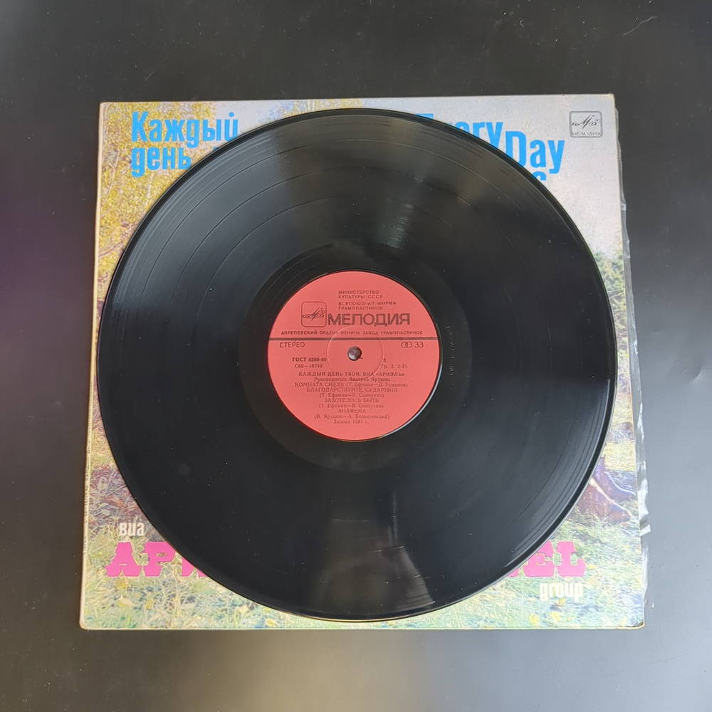 LP ВИА Ариэль - Каждый день твой, виниловая пластинка 12 дюймов Мелодия 1982 год