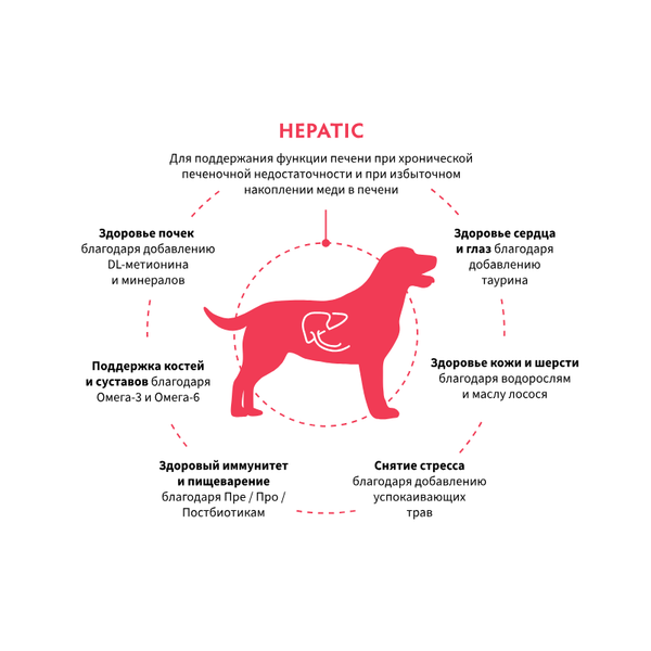Сухой диетический корм GRANDORF VETERINARY DIET Dog HEPATIC для собак, для поддержания функций печени при ХПН