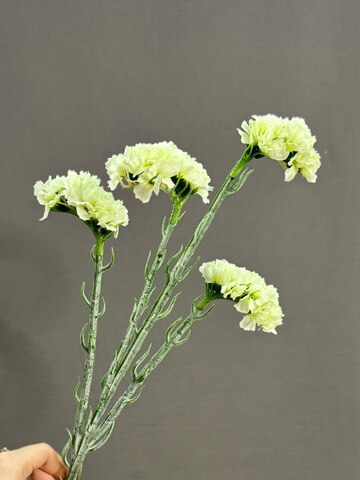 Статица белая (h64 см)