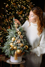 Ёлочка Сказочный сон