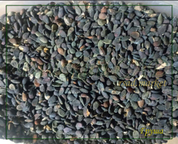 Семена Груша Уссурийская 1 кг