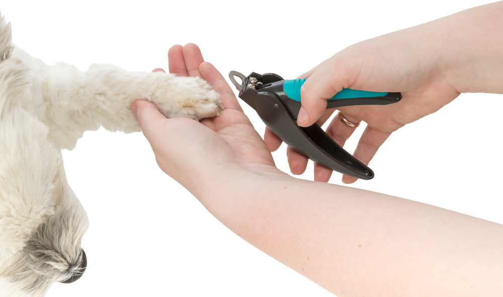 Кусачки-гильотина для собак и кошек Trixie Claw Clippers, размер 14см., черный