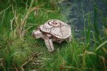 Механическая Черепаха от Eco Wood Art (EWA) - Деревянный конструктор, сборная модель, 3D пазл