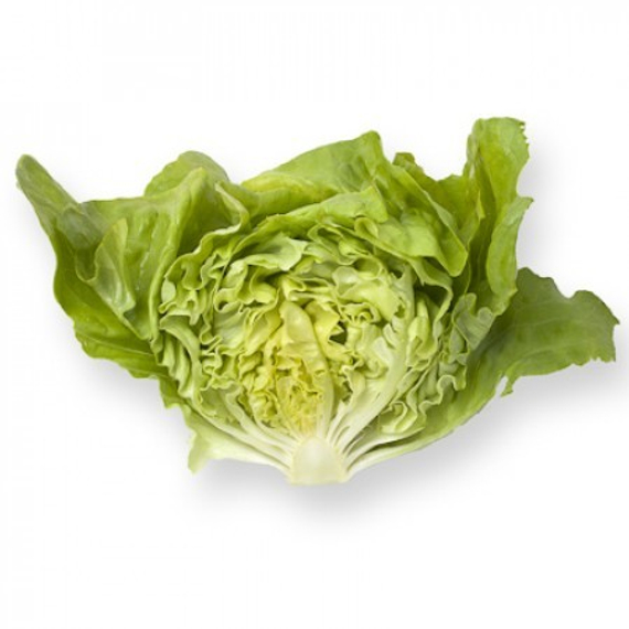 Санторо семена салата кочанного маслянистого (Rijk Zwaan / Райк Цваан) продукт – фото 2