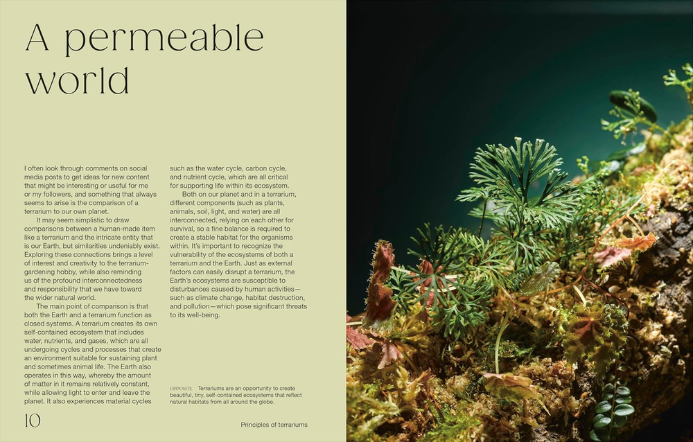 Hello Tiny World: An Enchanting Journey into the World of Creating Terrariums