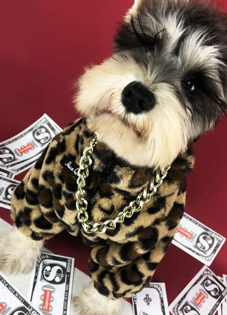 Эксклюзивные и роскошные! Новые модели