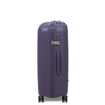 Чемодан FABRETTI FT2125-24-10