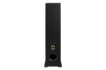 Emotiva Airmotiv T1+