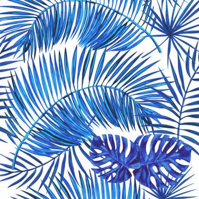 Пальмовые листья, тропики