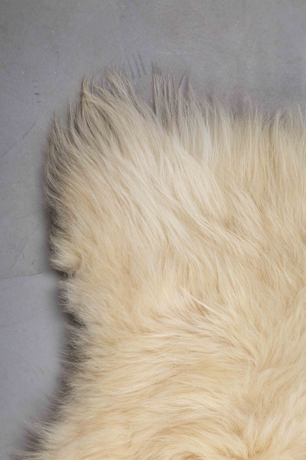 декоративная шкура из овчины