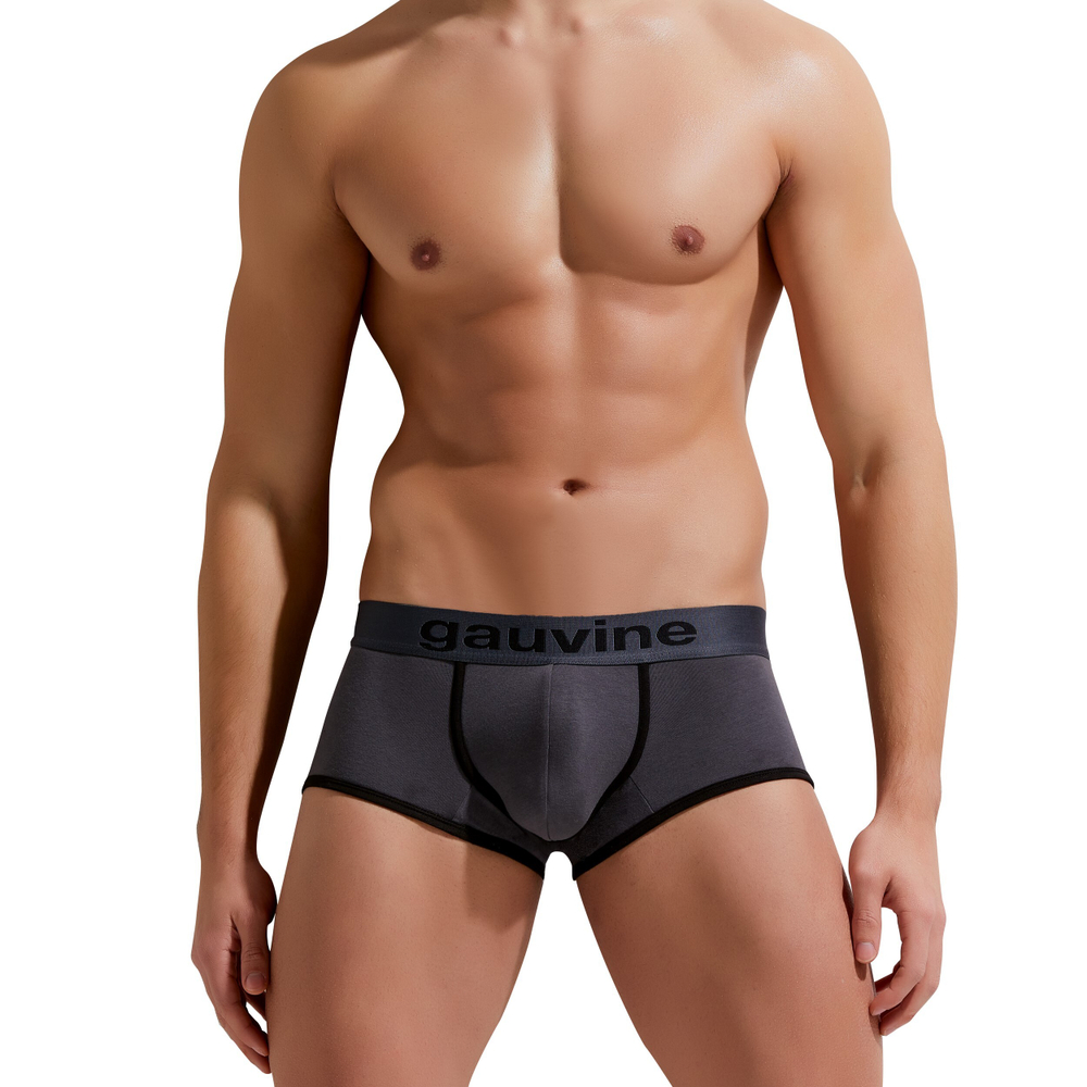Мужские трусы хипсы темно-серые GAUVINE 3004