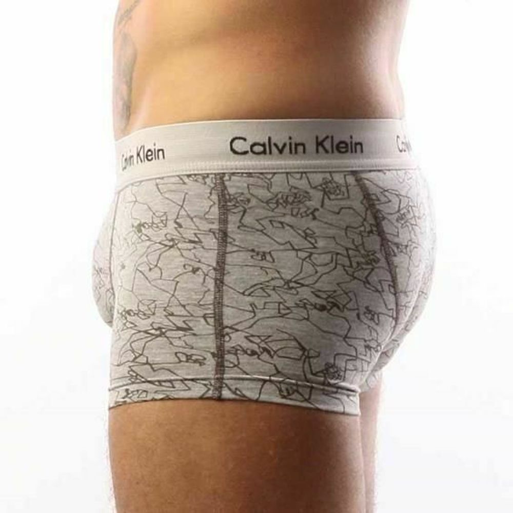 Мужские трусы хипсы Calvin Klein 365 Line серые Print