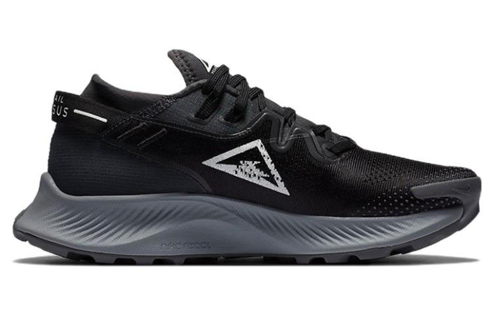 Кроссовки Nike Pegasus Trail 2 (Женская размерная сетка)