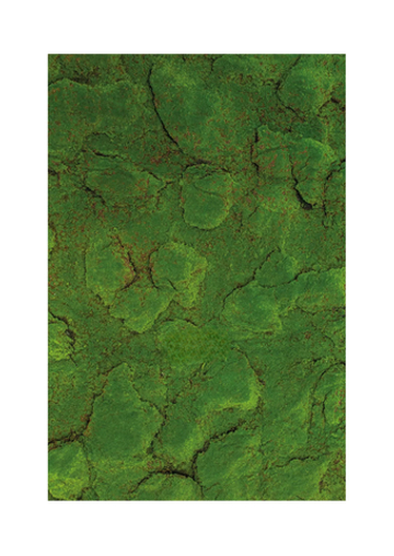 Коврик с кочками на войлоке 2*1м (темная основа)