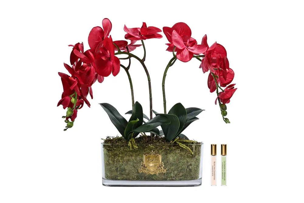 Букет ароматический Oval Orchid Fuschia