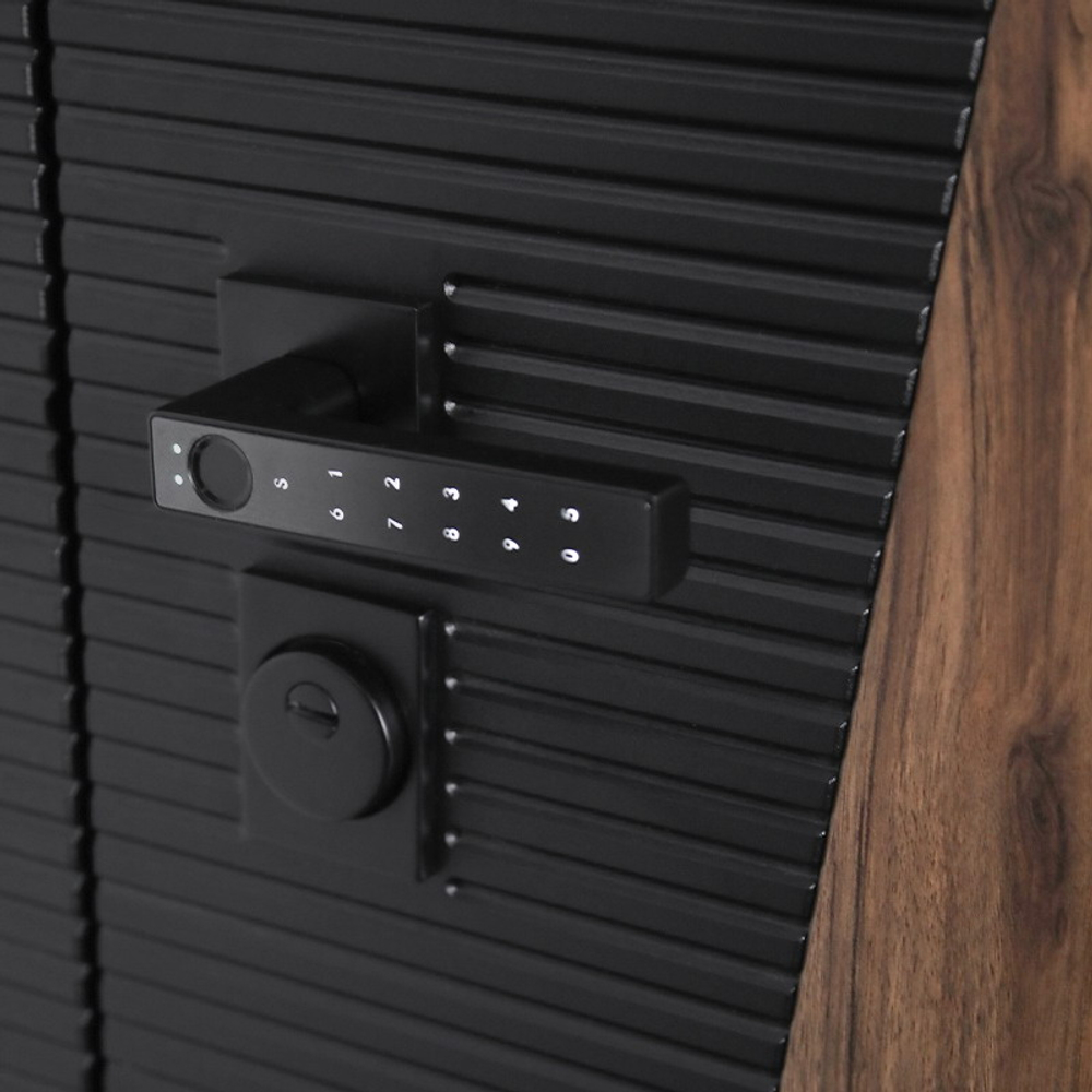 Стальная дверь "Берилл" (умная дверная ручка). Заказная модель.