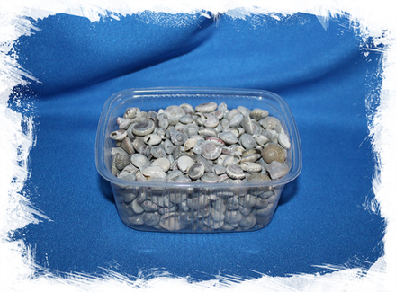 Умбониум серый, 0,5-1см, 100гр, 300шт