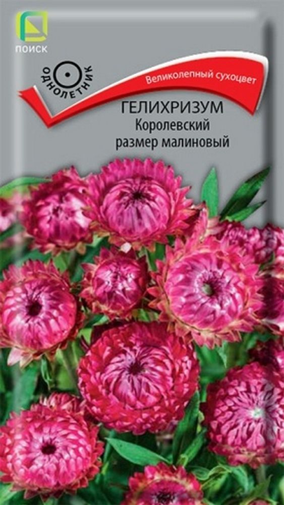 Гелихризум &quot;G. Королевский размер малиновый&quot; 0.1г., Россия.