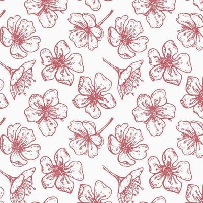 Цветение сакуры