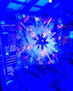 Полотно Plushedelica Во Сне