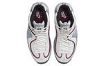 Кроссовки Nike Penny "Rosewood" (Женская размерная сетка)