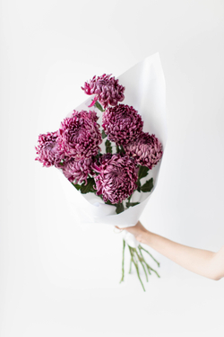 Монобукет Bigoudi Purple