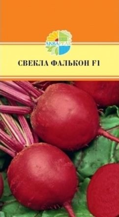 Свекла
