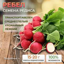РЕБЕЛ семена редиса (Bejo | Alexagro)