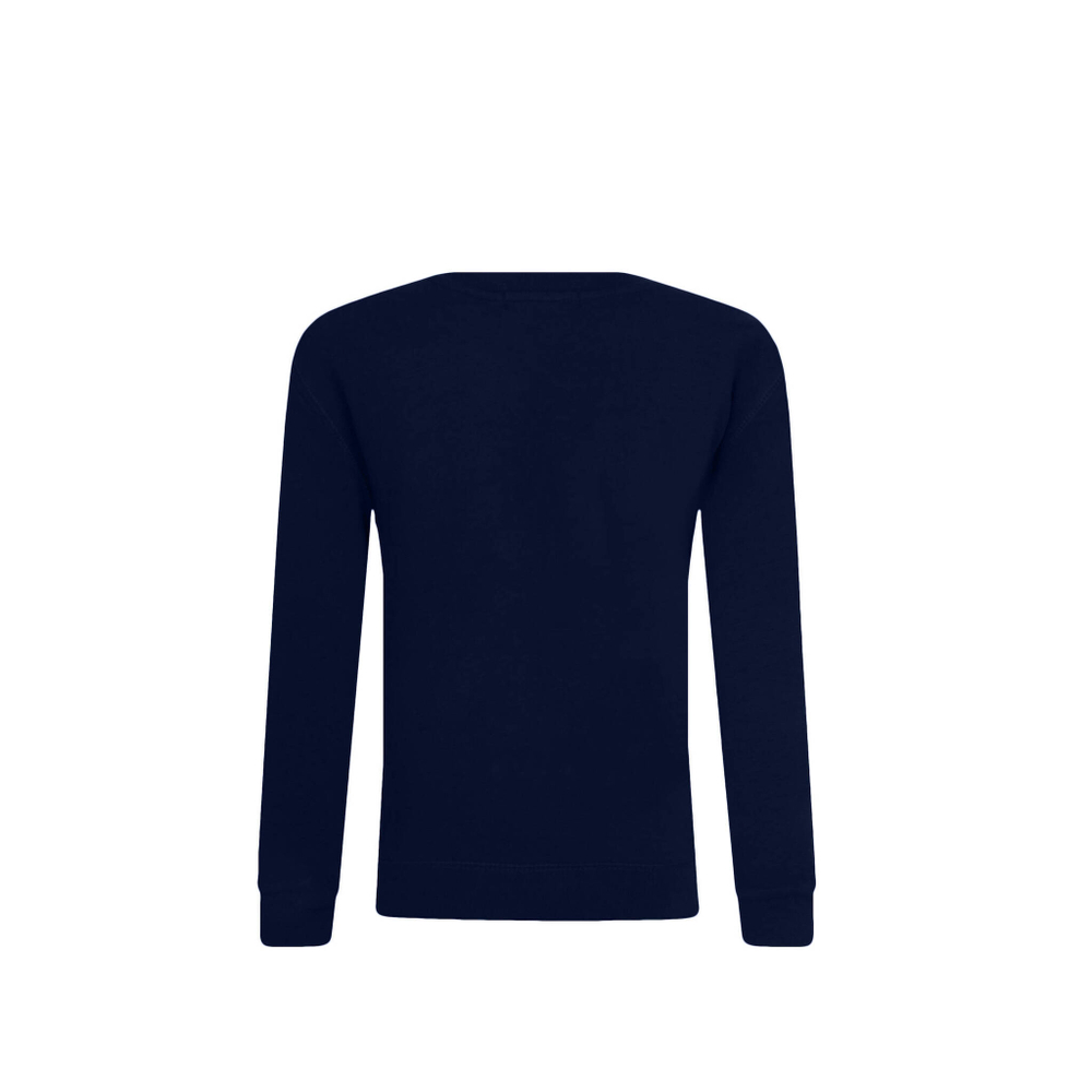 Худые POLO RALPH LAUREN - темно-синий(898062)