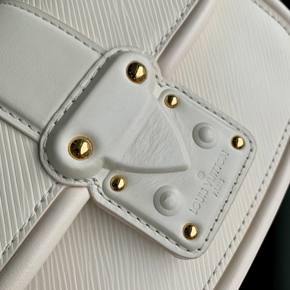 Louis Vuitton Hide & Seek Bag