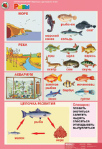 Комплект таблиц Окружающий мир 5-6 лет. "Животные и растения". (12 таблиц+16 карт.)