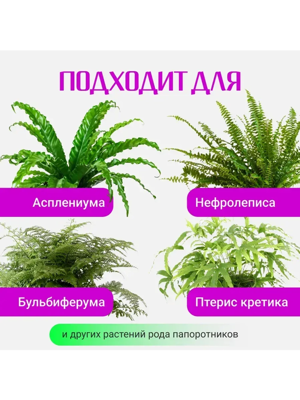 Органический грунт для папоротника 5 л