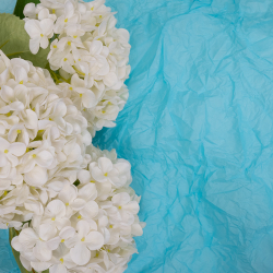 Тишью 50*70/40листов