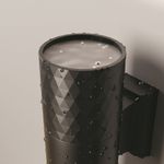 Настенный светильник (бра) Outdoor O583WL-02B