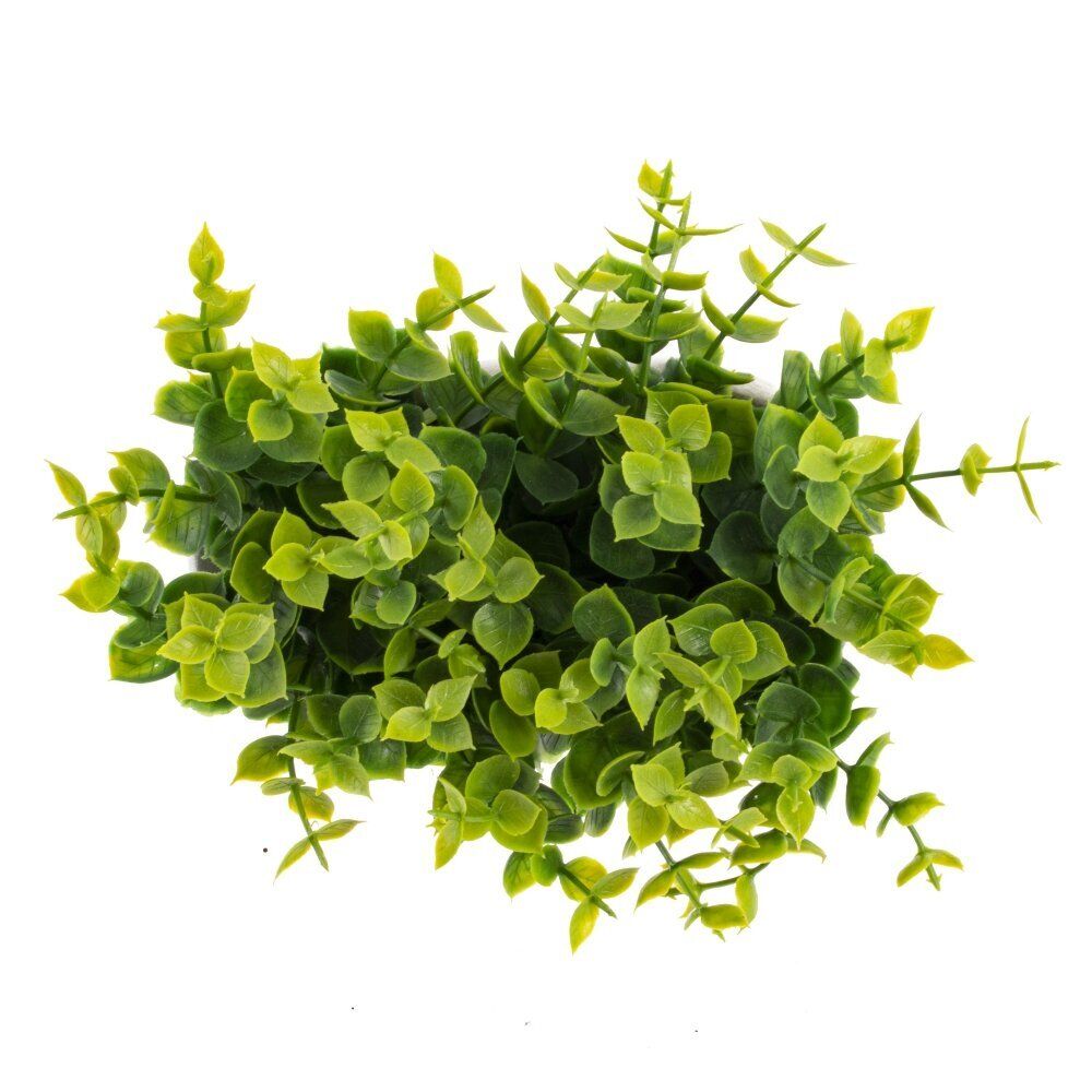 GAEM Цветочная композиция, L14 W7,5 H14 см