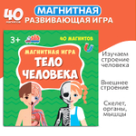 Тело человека, магнитная игра
