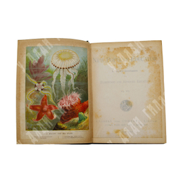 The New Popular Educator. Новый популярный педагог -. в 8 т., 1-8т. -Лондон. Cassell, Limited. 1899