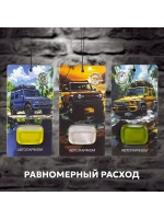 Ароматизаторы автомобильные в наборе 6 ароматов